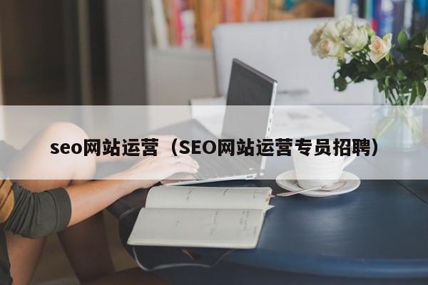 seo網(wǎng)站運(yùn)營（SEO網(wǎng)站運(yùn)營專員招聘）