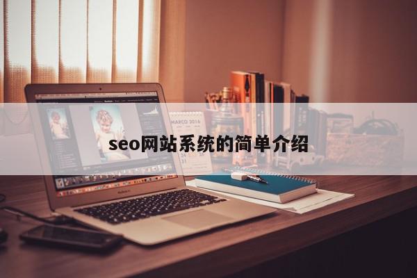 seo網站系統的簡單介紹